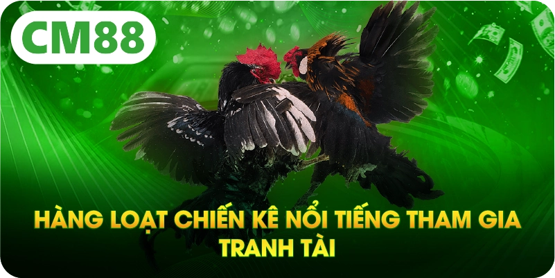 Hàng loạt chiến kê nổi tiếng tham gia tranh tài
